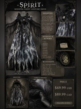 Spirit Black & Silver Gothic Maxi Dress with Tattered Skirt